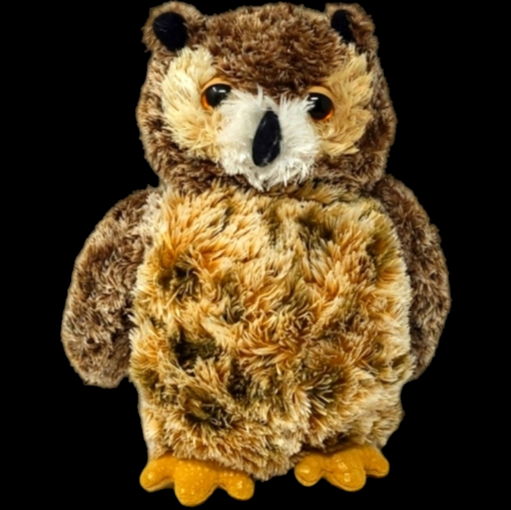 AURORA GREAT HORNED OWL NAME OSMOND